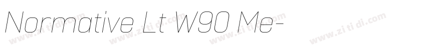 Normative Lt W90 Me字体转换